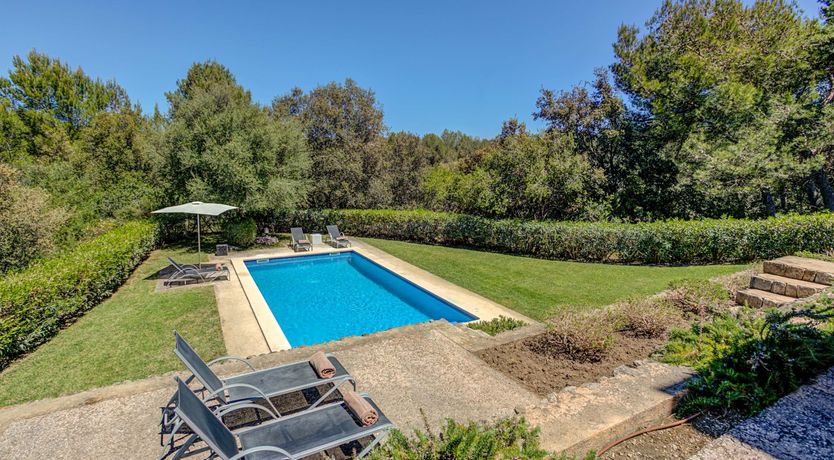 Photo of Wild Blue Iris