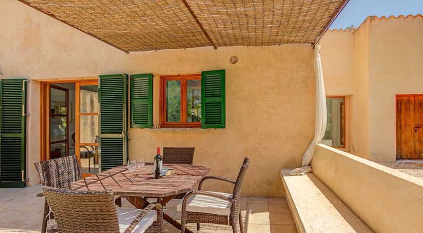 Photo of Wild Blue Iris