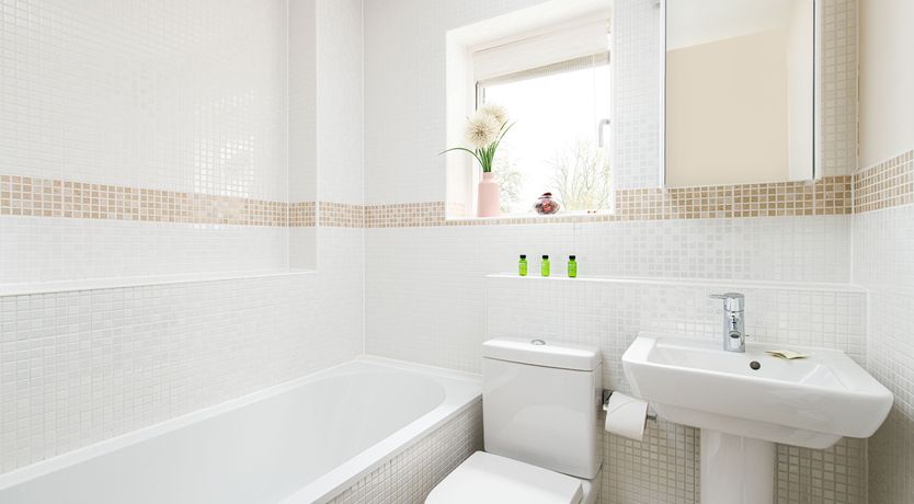 Photo of The Fisher King