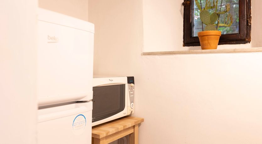 Photo of The Michelangelo