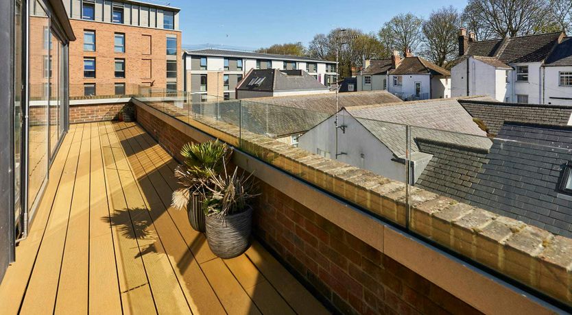 Photo of Brighton Palm