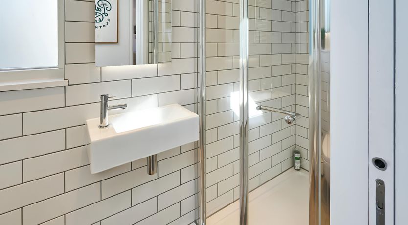 Photo of Brighton Palm