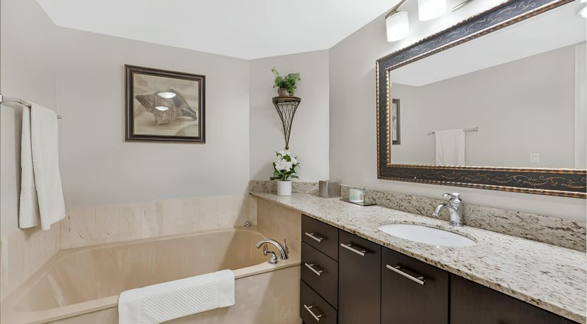 Photo of Miami Dream