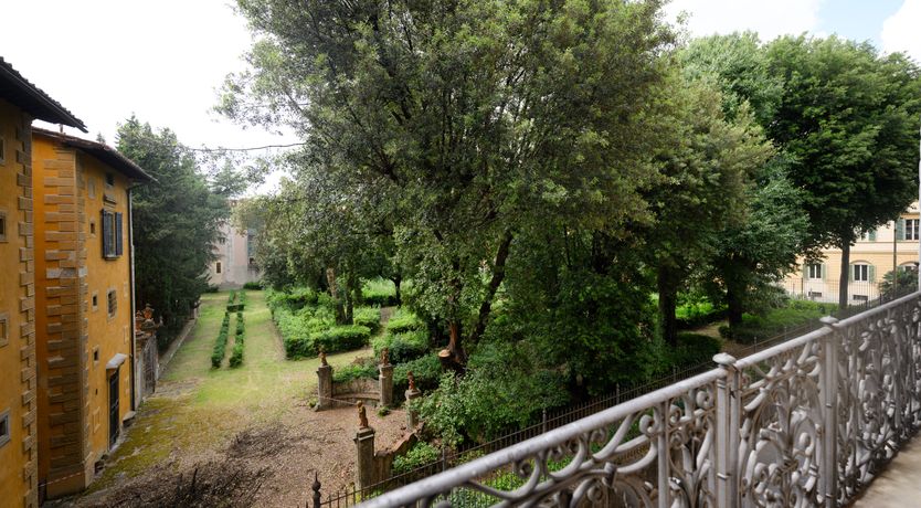 Photo of Renaissance Rose