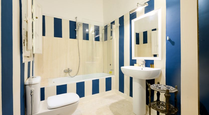 Photo of Renaissance Rose