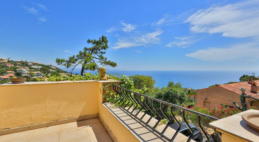 Photo of The Gentle Coast