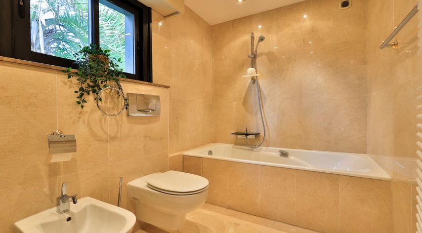 Photo of The Morning Sun