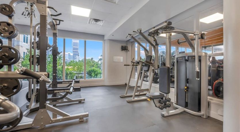 Photo of Miami Dreams