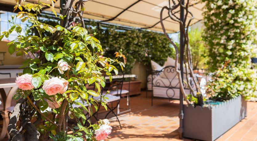 Photo of Florentine Nights