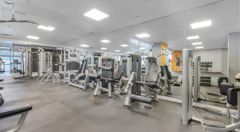 Photo of Dreams of Bliss