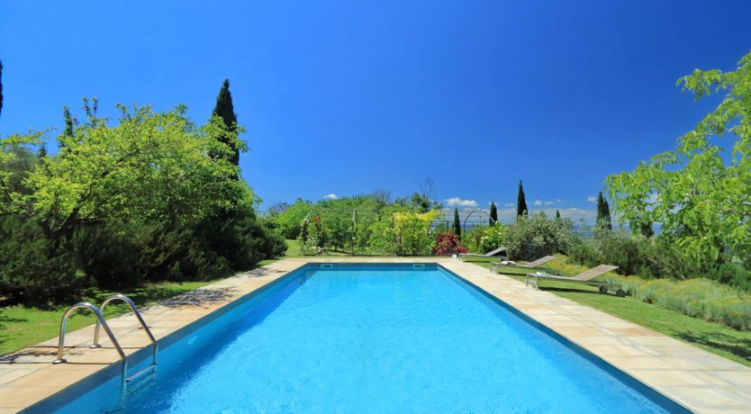 Photo of The Umbrian Vineyard