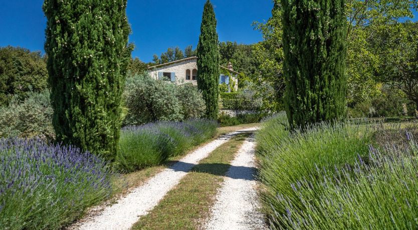 Photo of The Umbrian Vineyard
