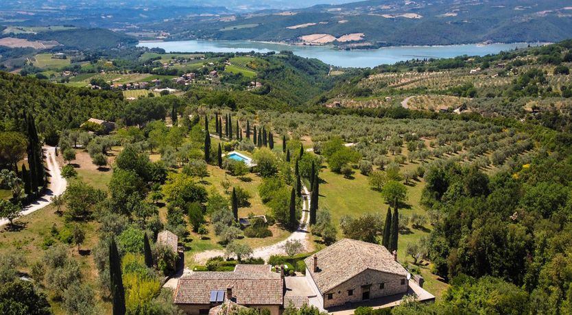 Photo of The Umbrian Vineyard