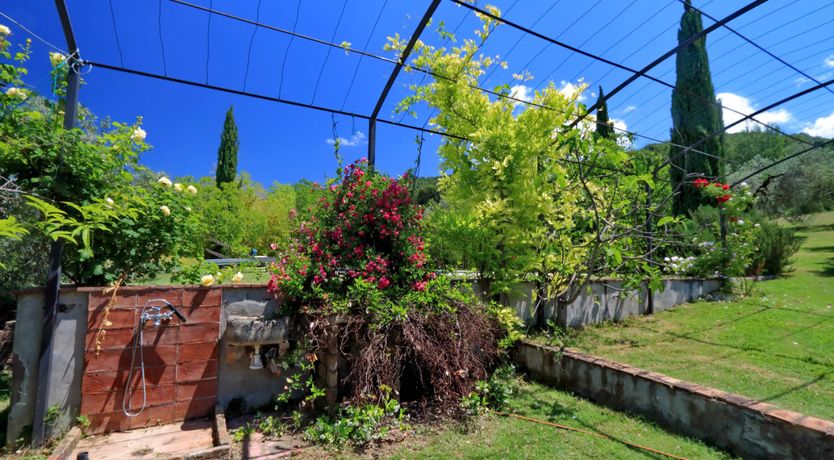 Photo of The Umbrian Vineyard