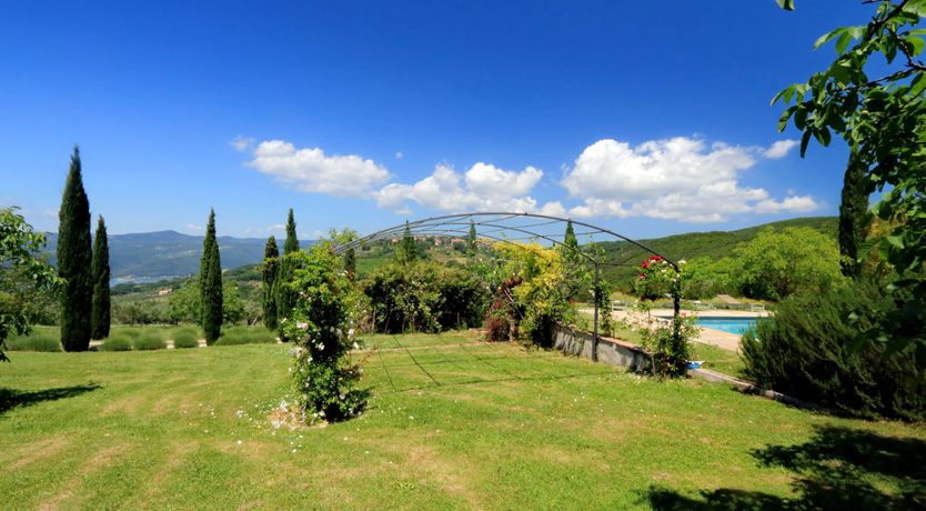 Photo of The Umbrian Vineyard