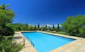 Photo of The Umbrian Vineyard
