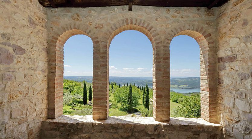 Photo of The Umbrian Vineyard