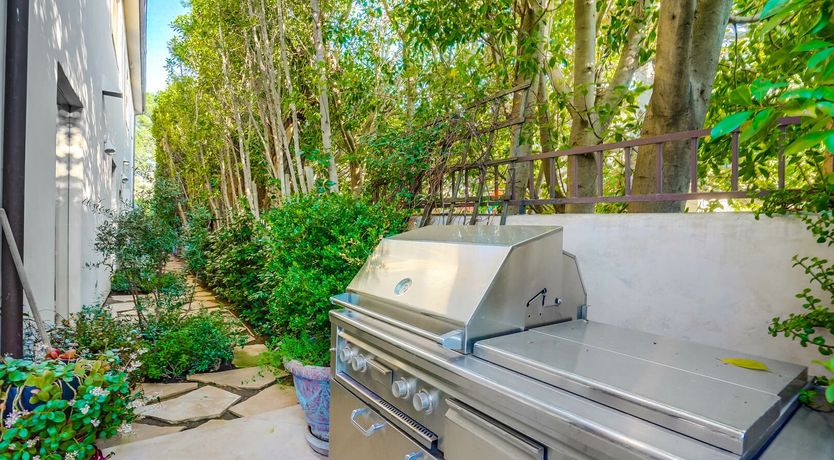 Photo of The Coral Blue