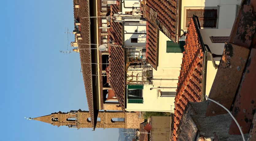 Photo of The Italian Vision