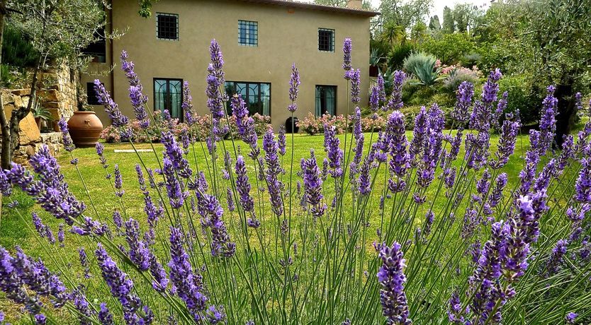 Photo of Settignano Serenity