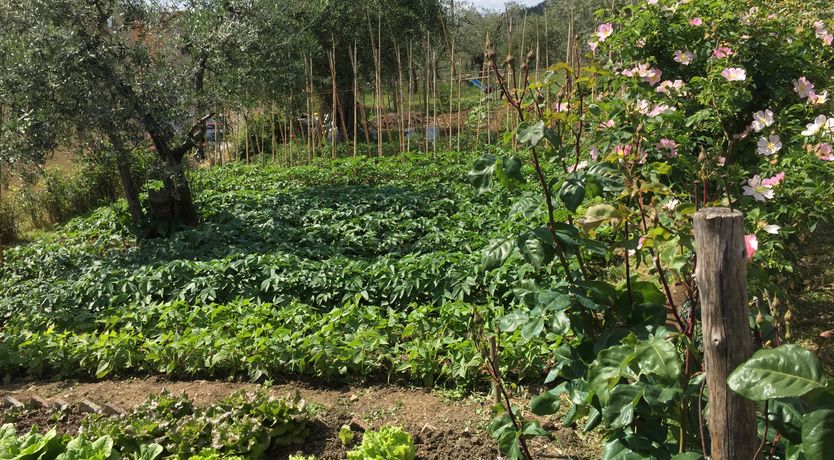 Photo of Settignano Serenity