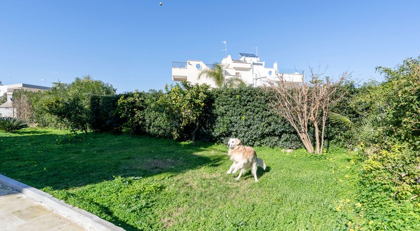 Photo of Puglian Hideaway