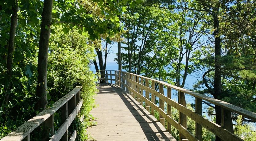 Photo of Jurassic Coast Jewel