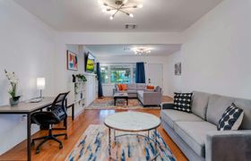 Photo of miami-modern