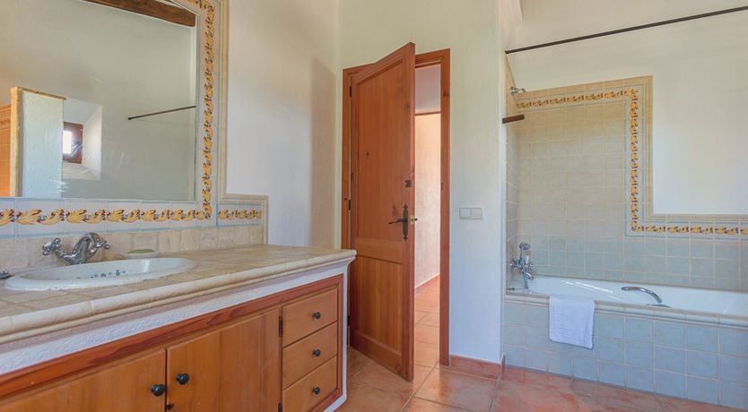 Photo of The Green Palm