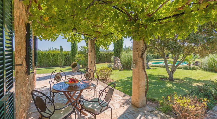 Photo of The Green Palm