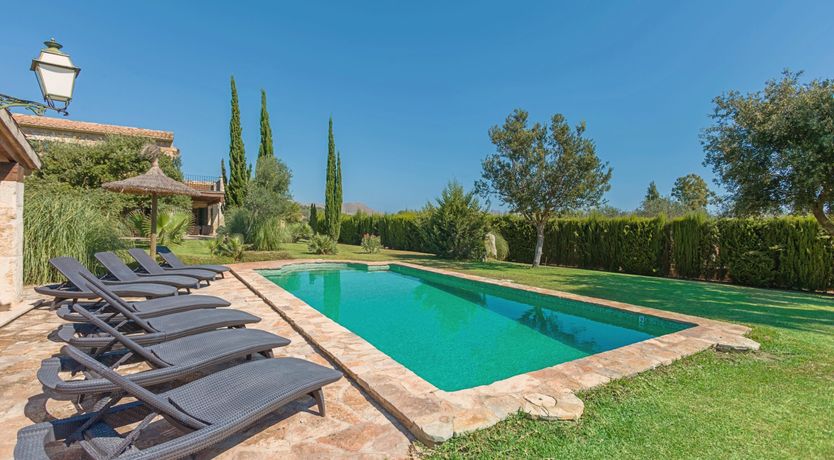 Photo of The Green Palm