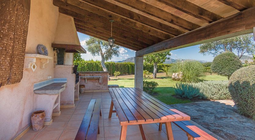 Photo of The Green Palm