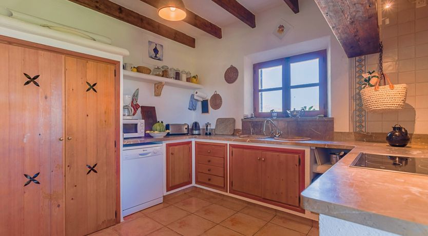 Photo of The Green Palm