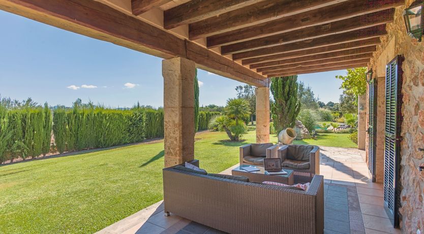 Photo of The Green Palm