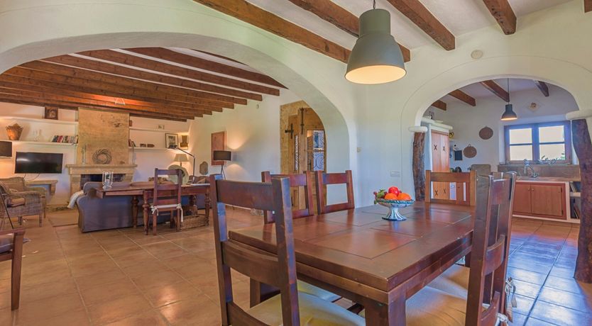 Photo of The Green Palm