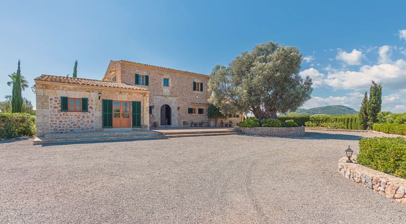 Photo of The Green Palm