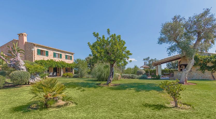 Photo of The Green Palm