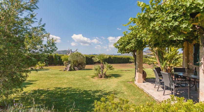 Photo of The Green Palm