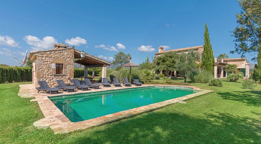 Photo of The Green Palm