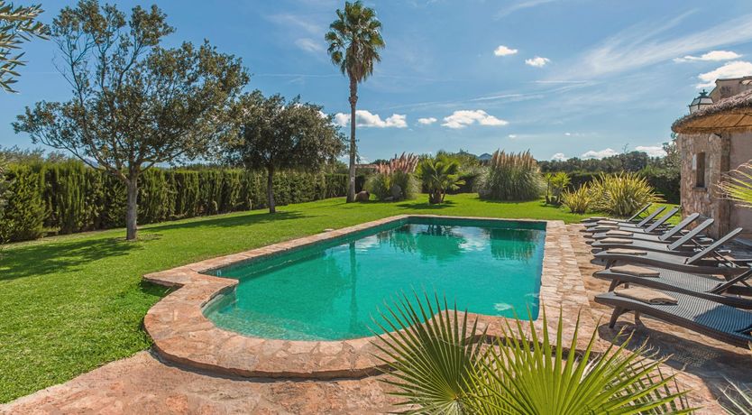 Photo of The Green Palm