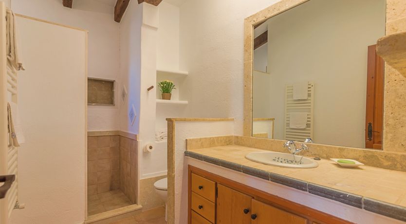 Photo of The Green Palm