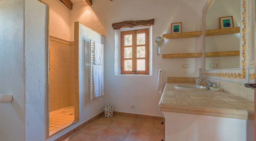 Photo of The Green Palm