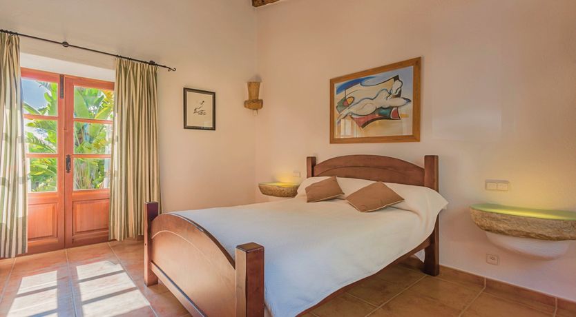 Photo of The Green Palm