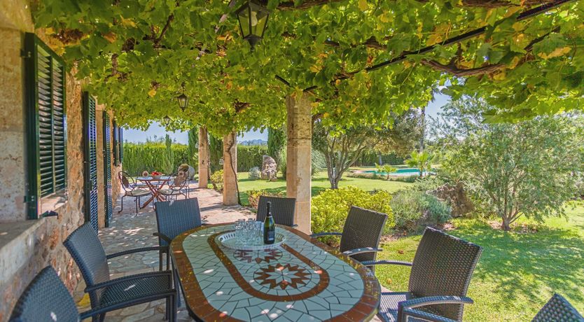 Photo of The Green Palm