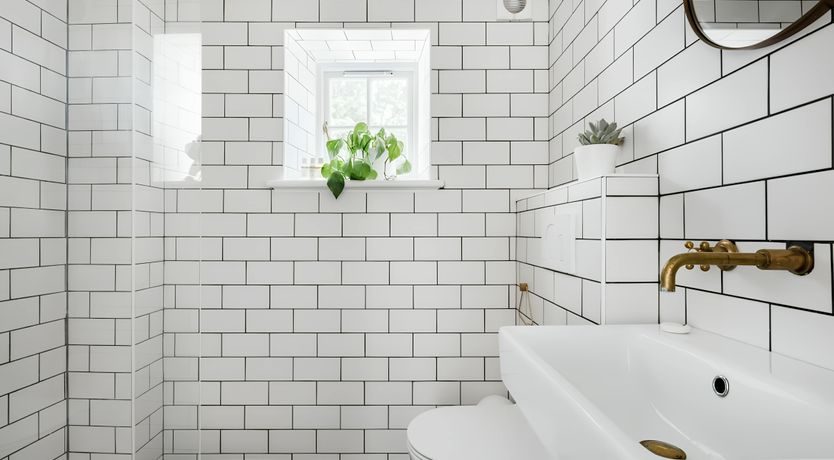 Photo of Georgian Glow