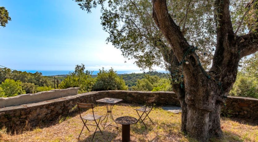 Photo of Formicaccia