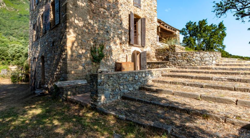 Photo of Formicaccia