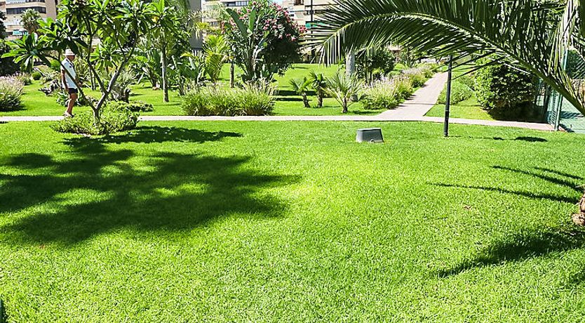 Photo of Playamar Apartment 3