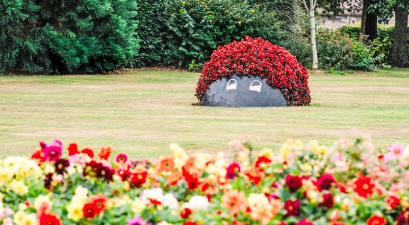 Photo of Forres View