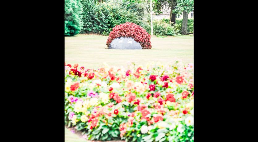 Photo of Forres View